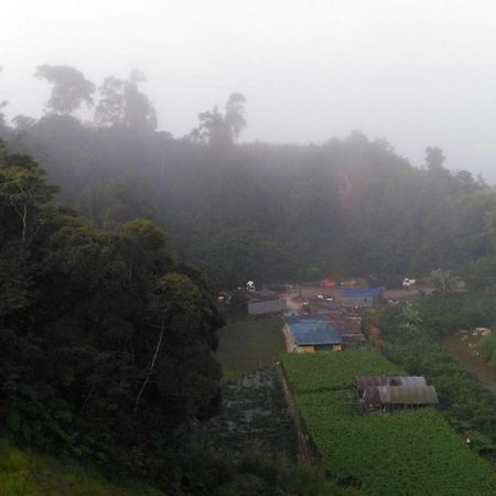 The Pines Hotel Kampung Kuala Terla Екстериор снимка