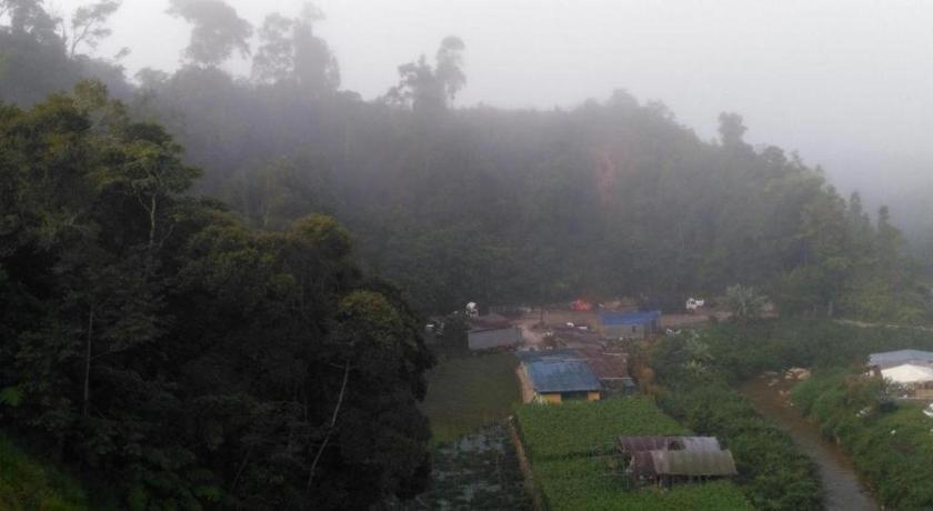 The Pines Hotel Kampung Kuala Terla Екстериор снимка
