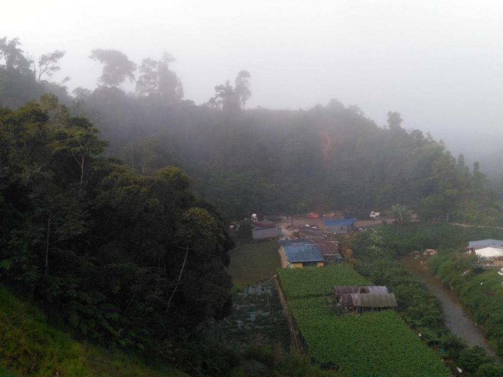 The Pines Hotel Kampung Kuala Terla Екстериор снимка