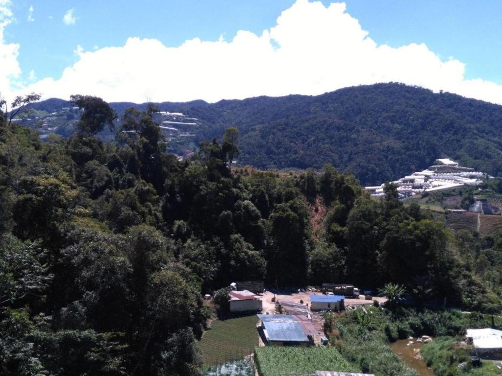 The Pines Hotel Kampung Kuala Terla Екстериор снимка